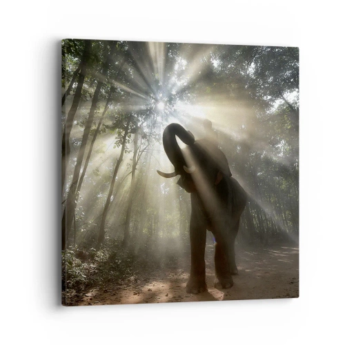 Canvas picture - Under a Lucky Star - 40x40 cm