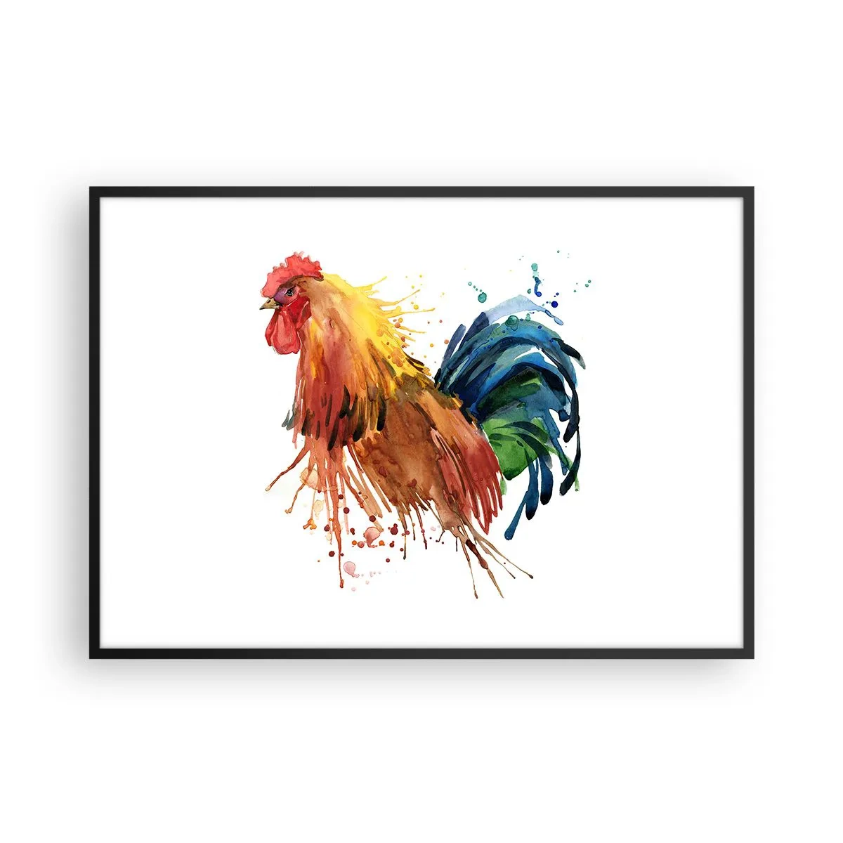 Poster in black frame - King Rooster - 100x70 cm