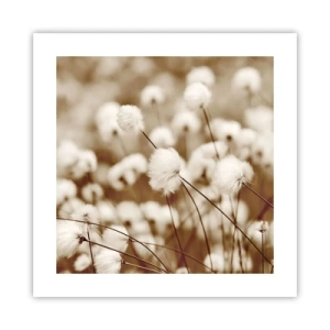 Poster - Fluffy field - 40x40 cm