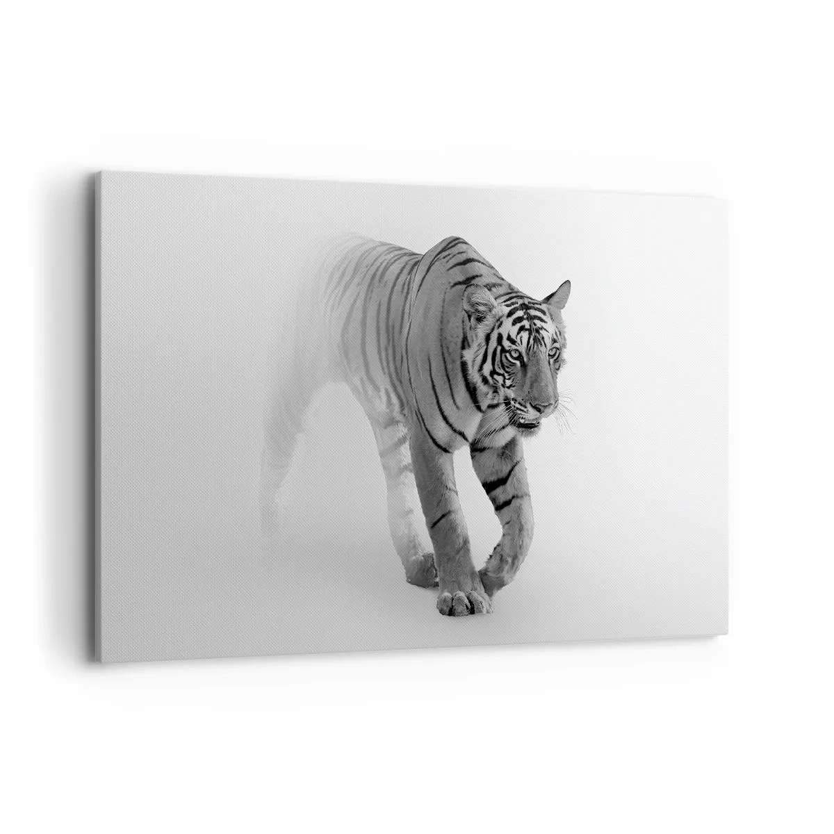 Canvas picture - Crouching in Fog - 120x80 cm