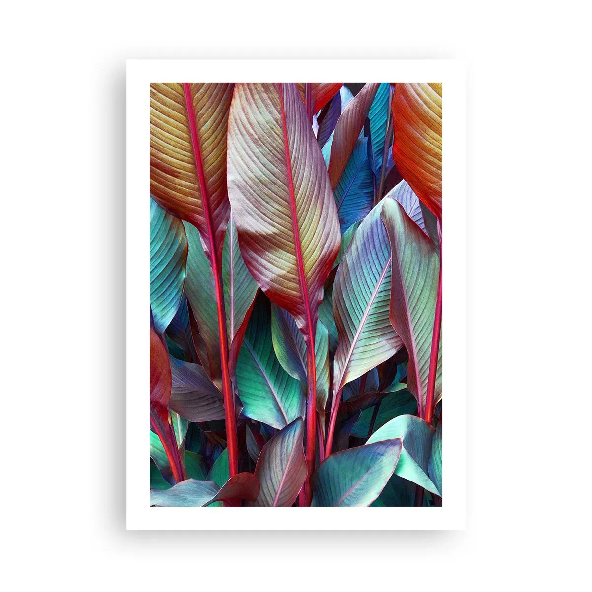 Poster - Colourful Thicket - 50x70 cm