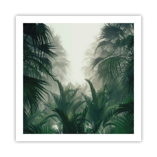 Poster - Tropical Secret - 60x60 cm