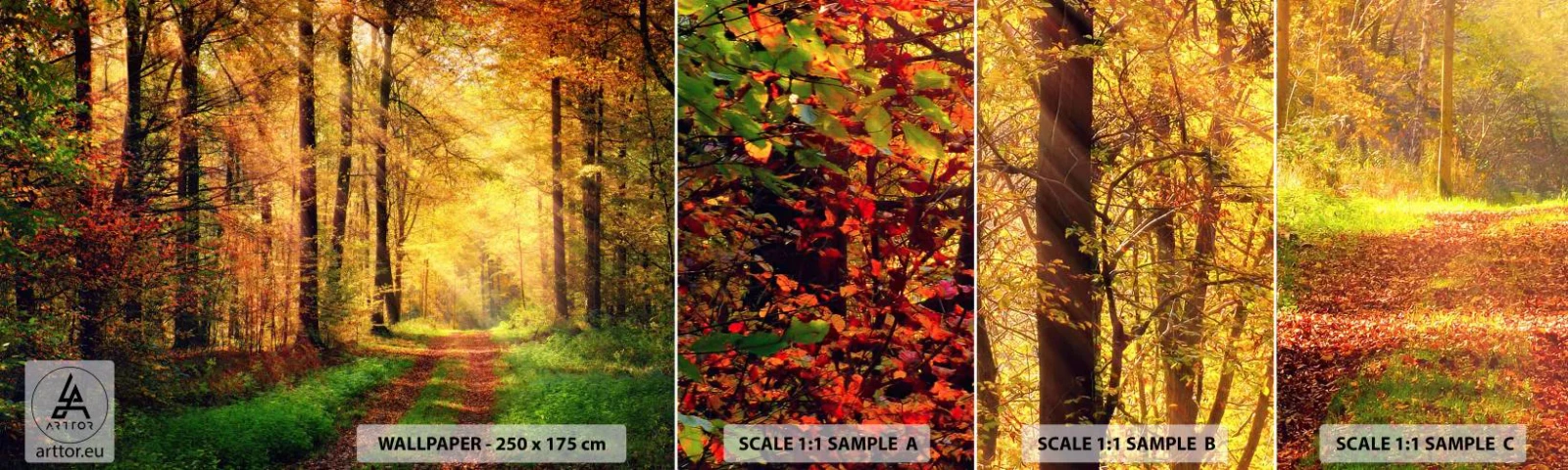 Photo Wallpaper Sample Standard Eco - Forest Golden silence - Landscape, Forest, Forest Road - 100x30 cm