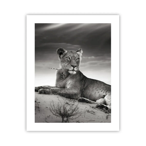 Poster - Queen of Desert Is Resting - 40x50 cm