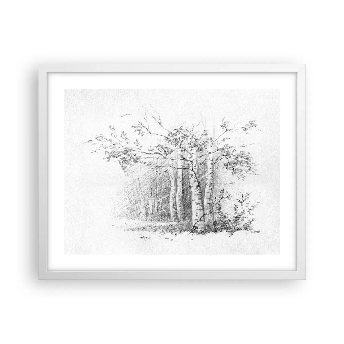 Poster in white frmae - Holiday of Birch Forest - 50x40 cm
