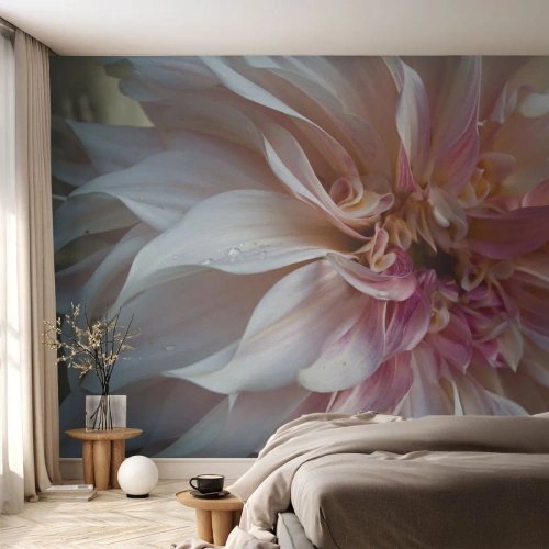 Custom Wallpaper Premium Canvas - Blooming Freshness - Flower, Dahlia, Plant