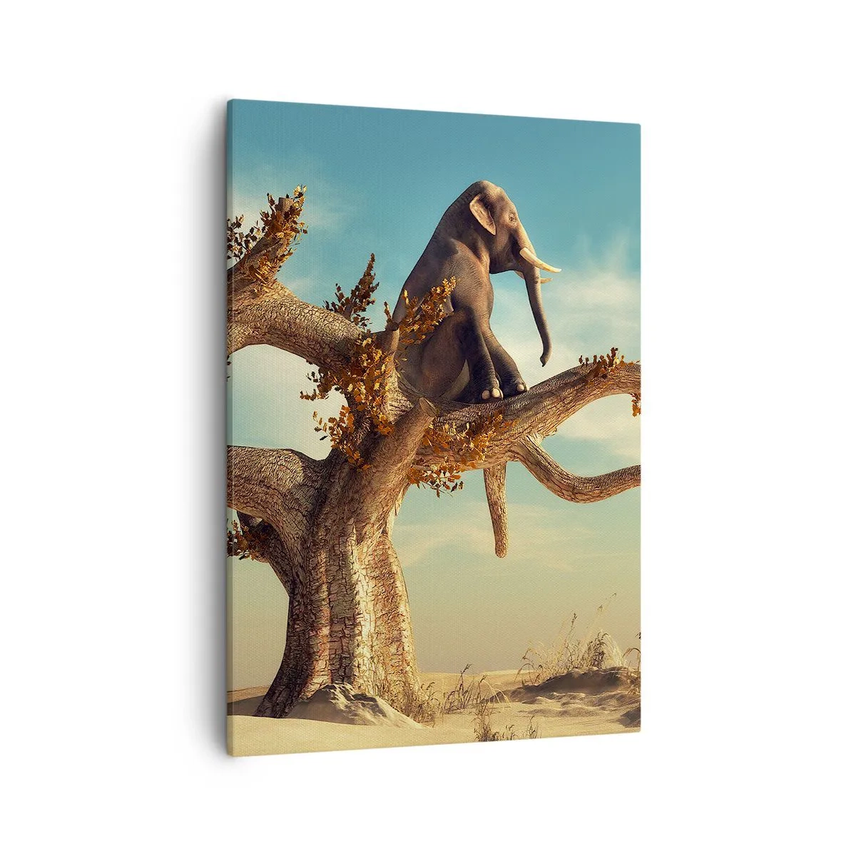 Canvas picture - New Point of View - 50x70 cm