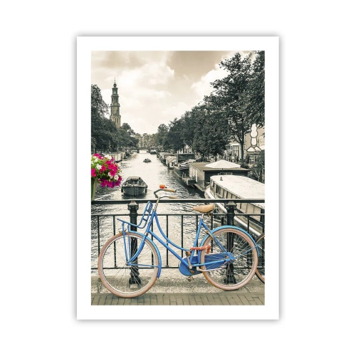 Poster - Colour of a Street in Amsterdam - 50x70 cm
