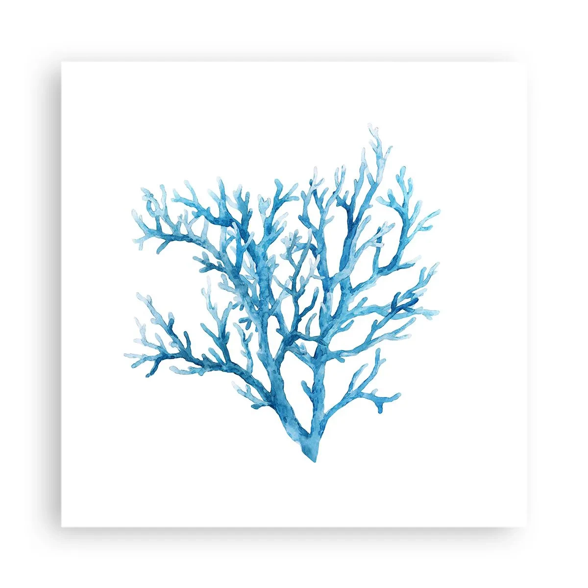 Poster - Sea Filigree - 40x40 cm