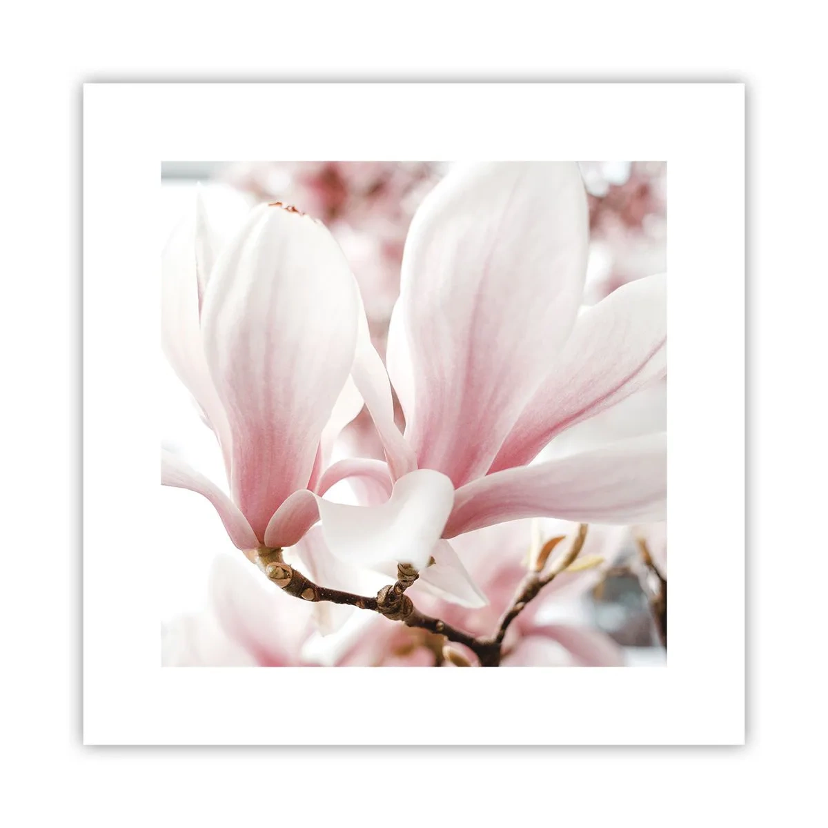 Poster - Immensity of Tenderness - 30x30 cm