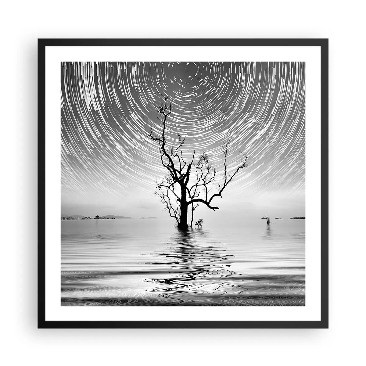 Poster in black frame - Symphony of Nature - 60x60 cm