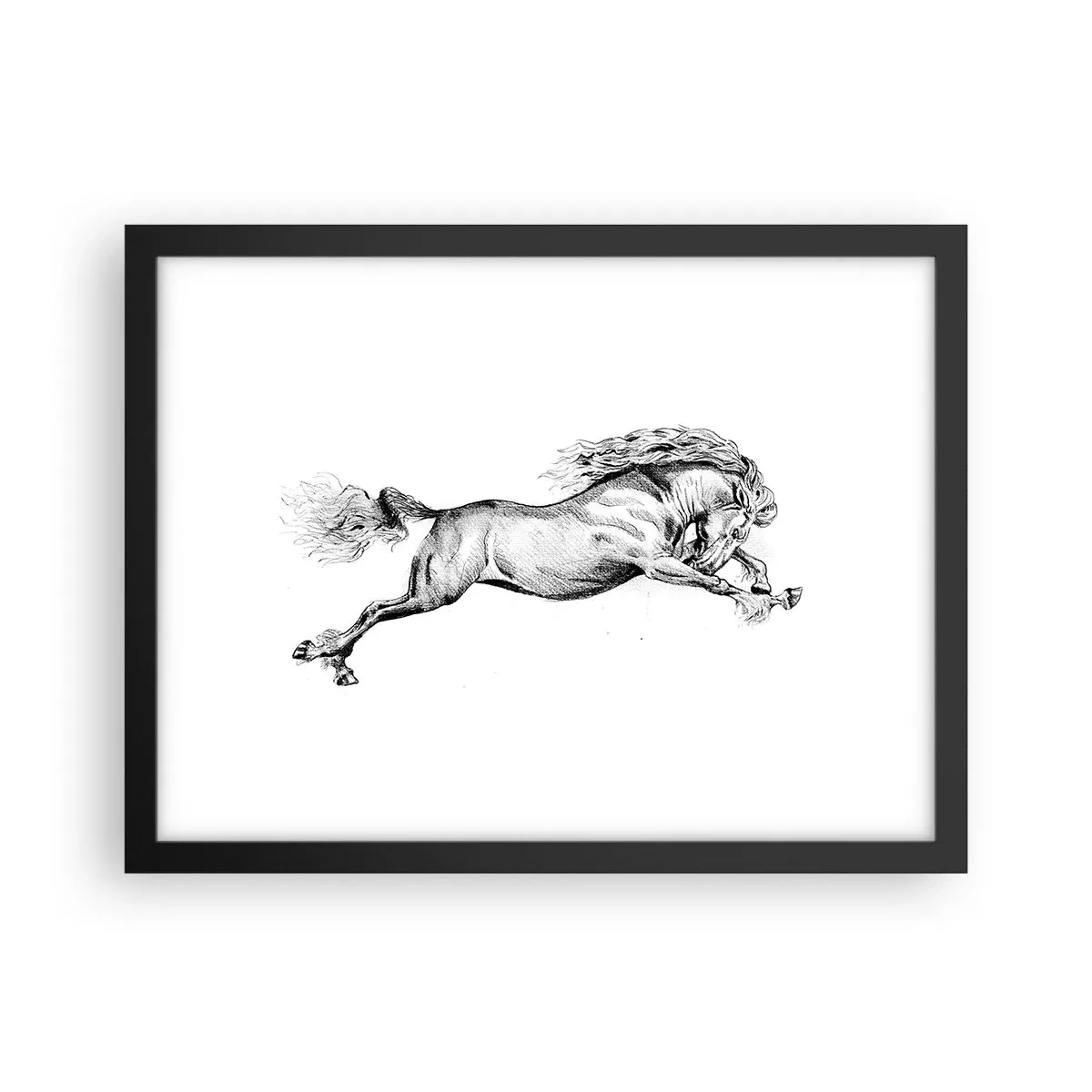 Poster in black frame - Stopped at a Gallop - 40x30 cm