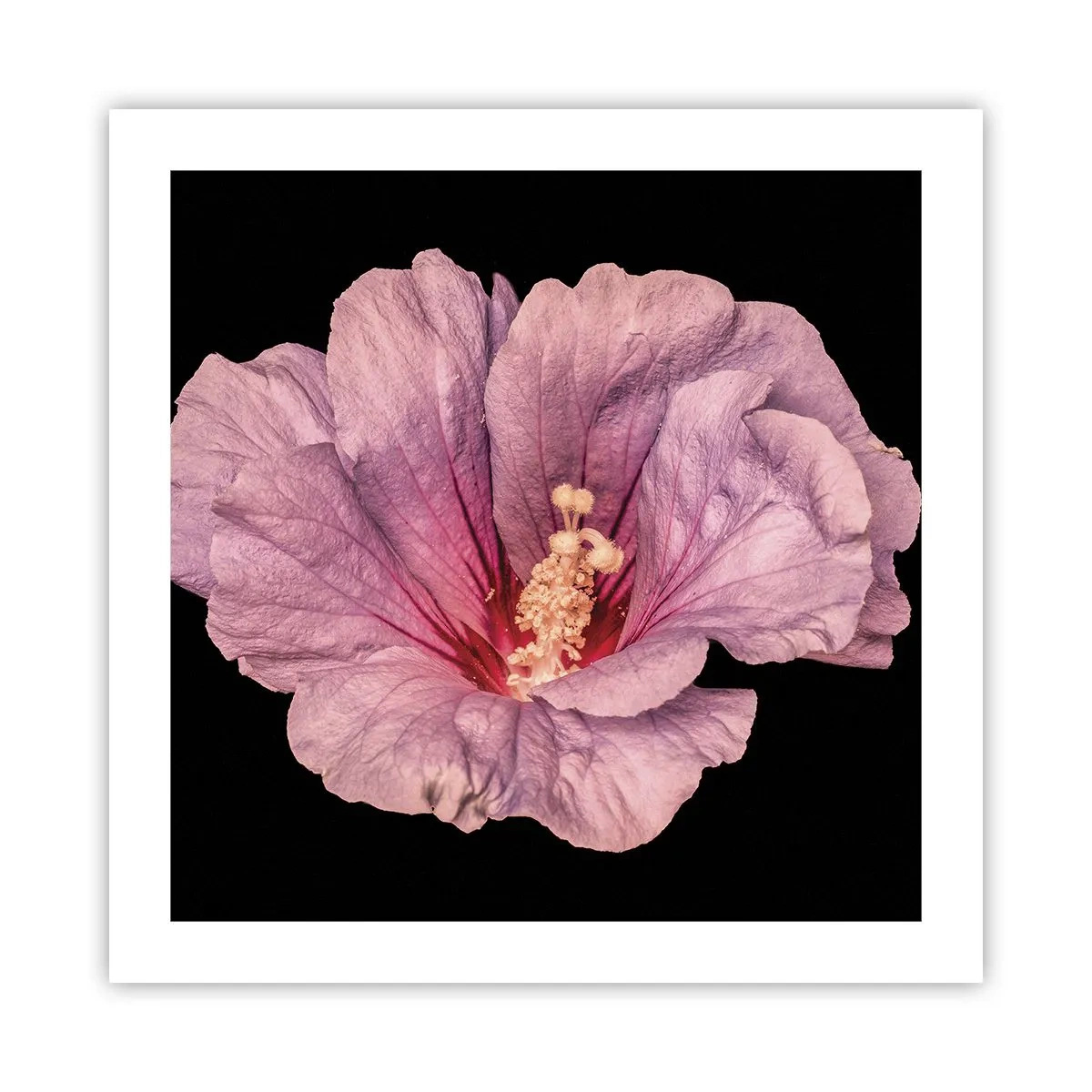 Poster - Straight from the Heart - 50x50 cm