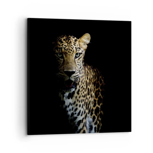 Canvas picture - Dark Beauty - 70x70 cm
