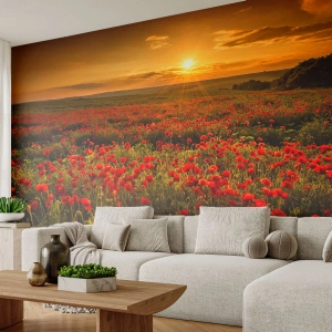 Photo Wallpaper Standard Eco - A field of poppies at sunset - 100x70cm - In the Meadow, among Flood of Flowers - Modern wall decoration for the living room and bedroom ARTTOR