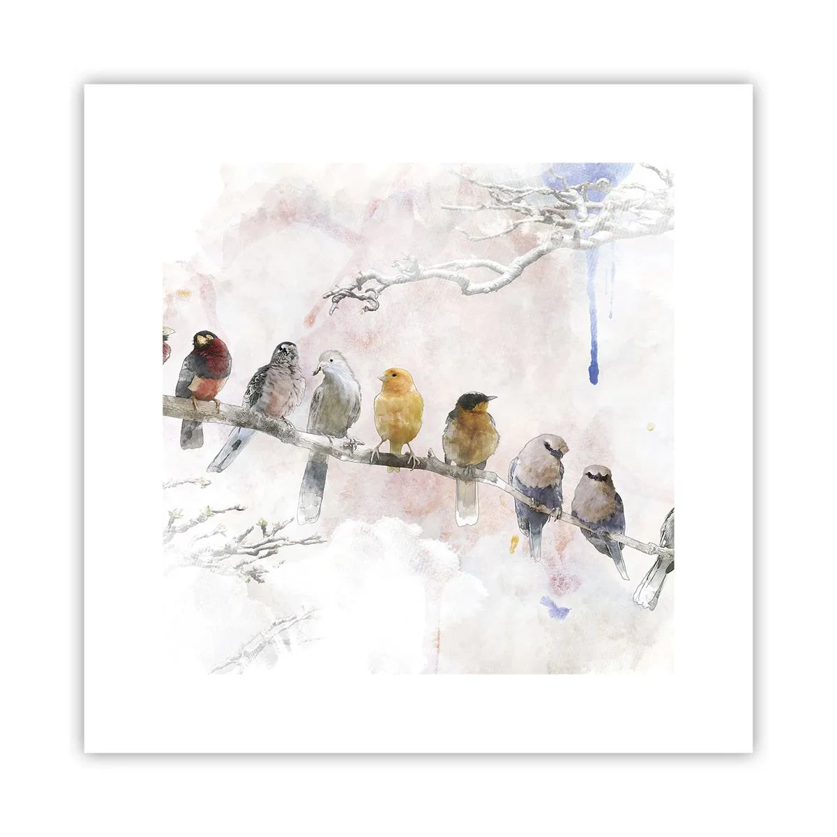 Poster - Winged Encounter - 30x30 cm