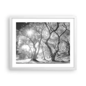 Poster in white frmae - In an Olive Grove - 50x40 cm