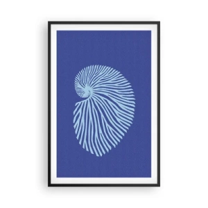 Poster in black frame - Birth of a Shell - 61x91 cm