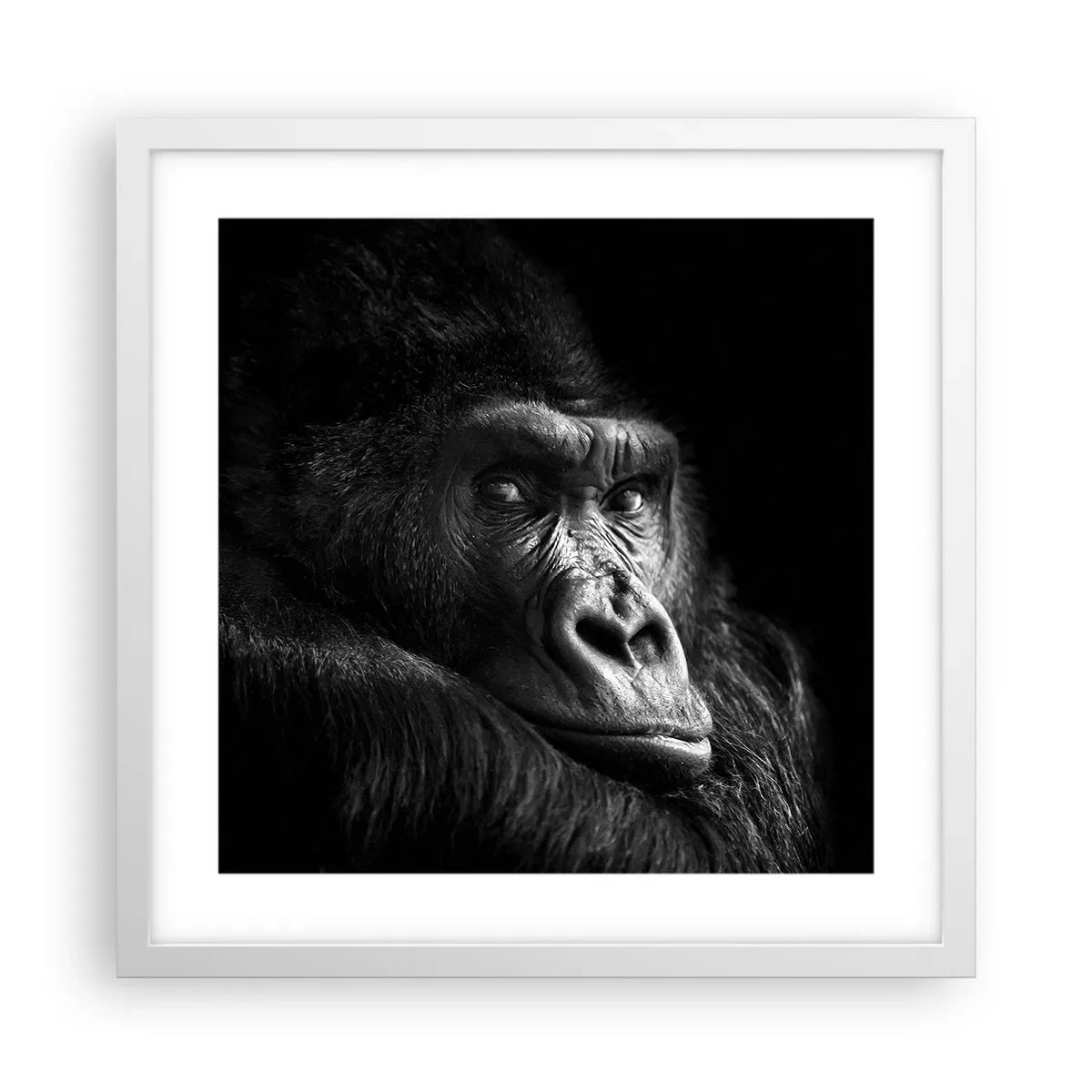 Poster in white frmae - What Are You Looking At? - 40x40 cm