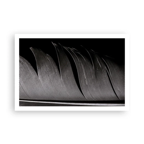 Poster - Feather - Wonderful Constract - 91x61 cm