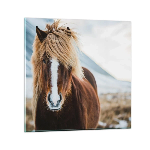 Glass picture - Can You Feel the Freedom? - 60x60 cm