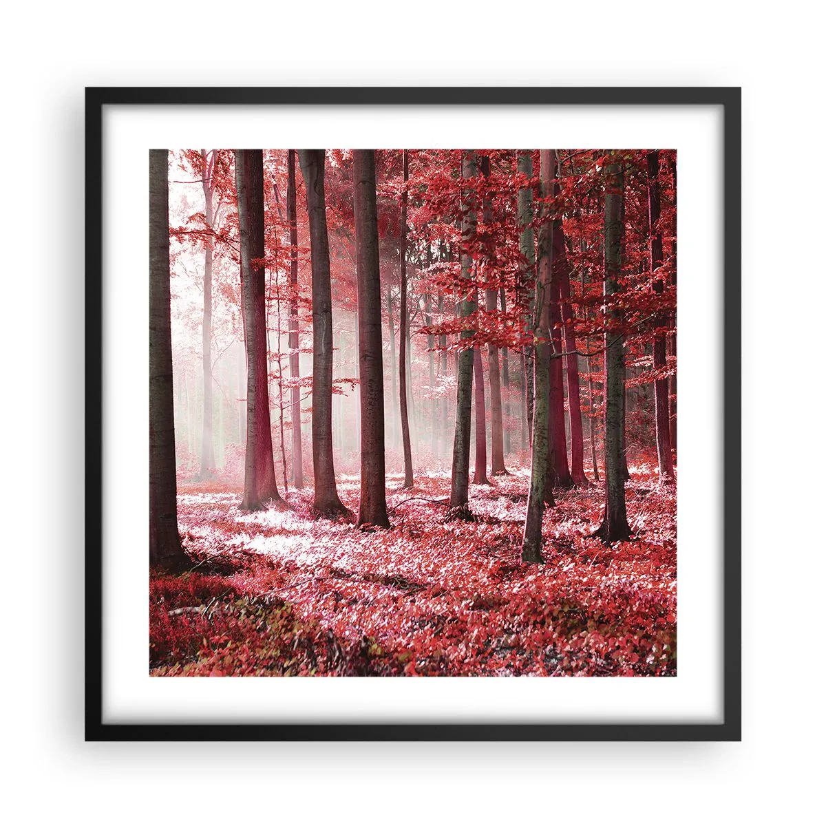 Poster in black frame - Red Equally Beautiful - 50x50 cm