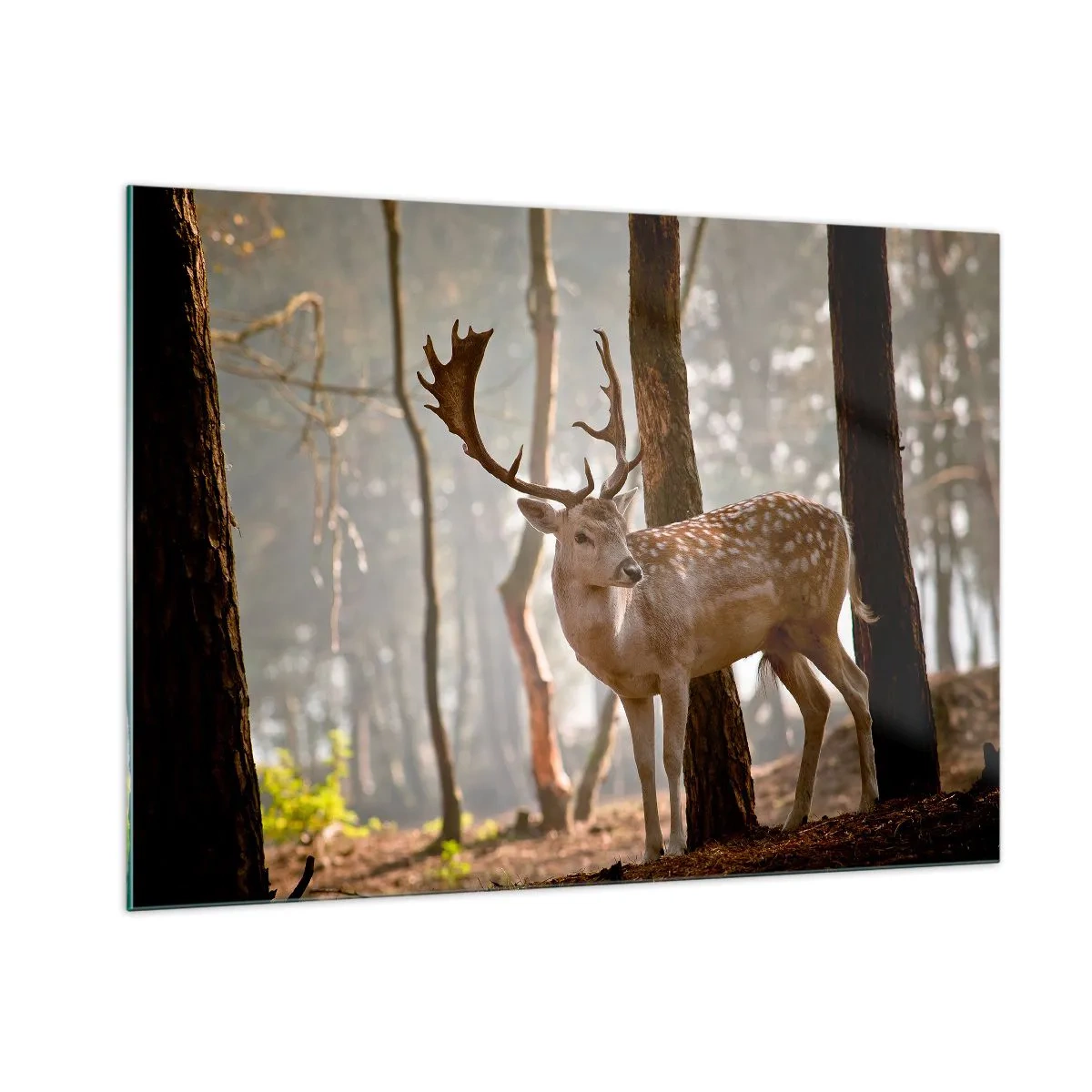 Glass picture - Light of Youth - 100x70 cm