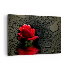 Canvas picture - Red and Black - 120x80 cm
