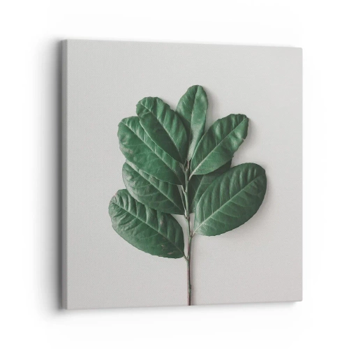 Canvas picture - Drawing of Nature Itself - 30x30 cm