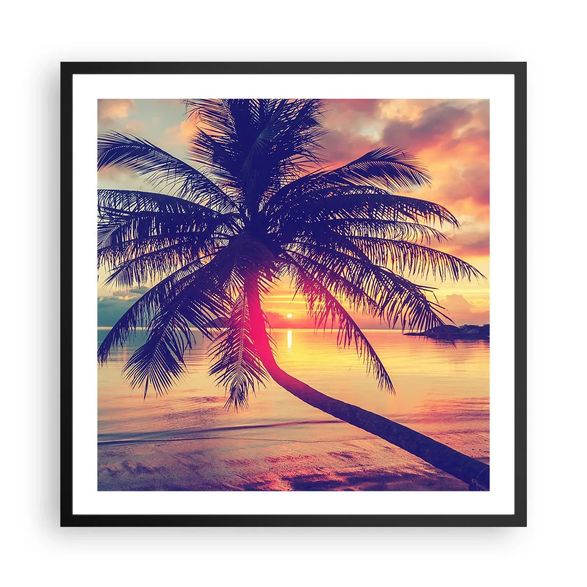 Poster in black frame - Evening under the Palm Trees - 60x60 cm