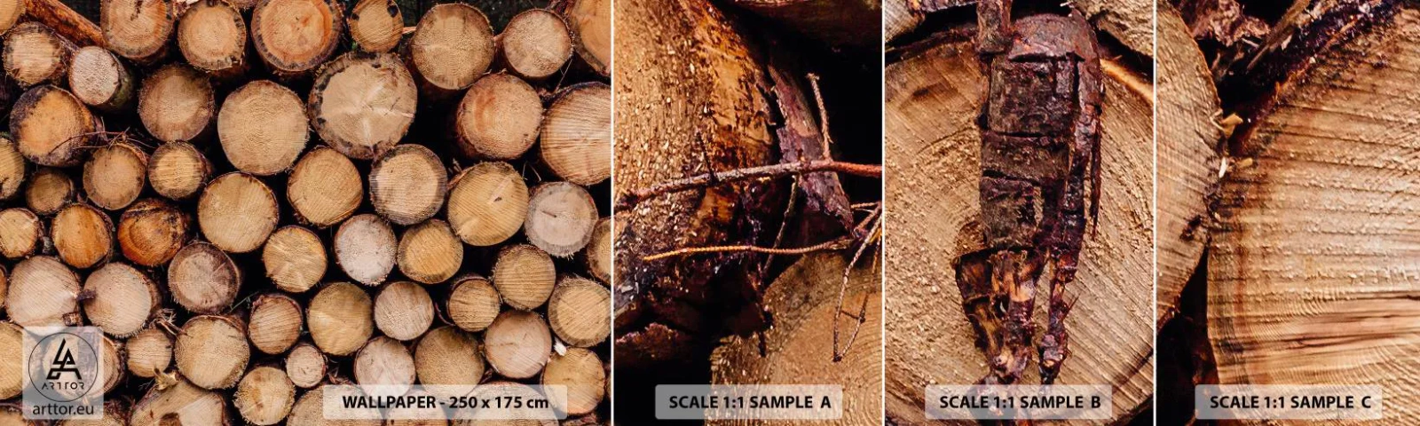 Photo Wallpaper Sample Standard Eco - New Beginning - Wood, Wood Logs, Nature - 100x30 cm