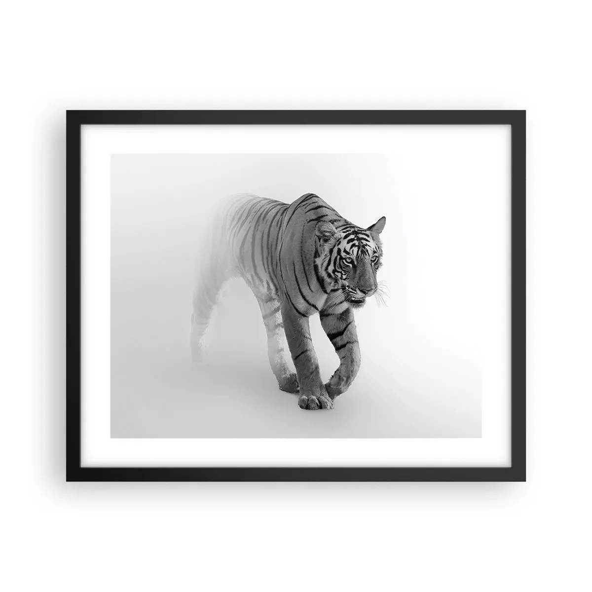 Poster in black frame - Crouching in Fog - 50x40 cm