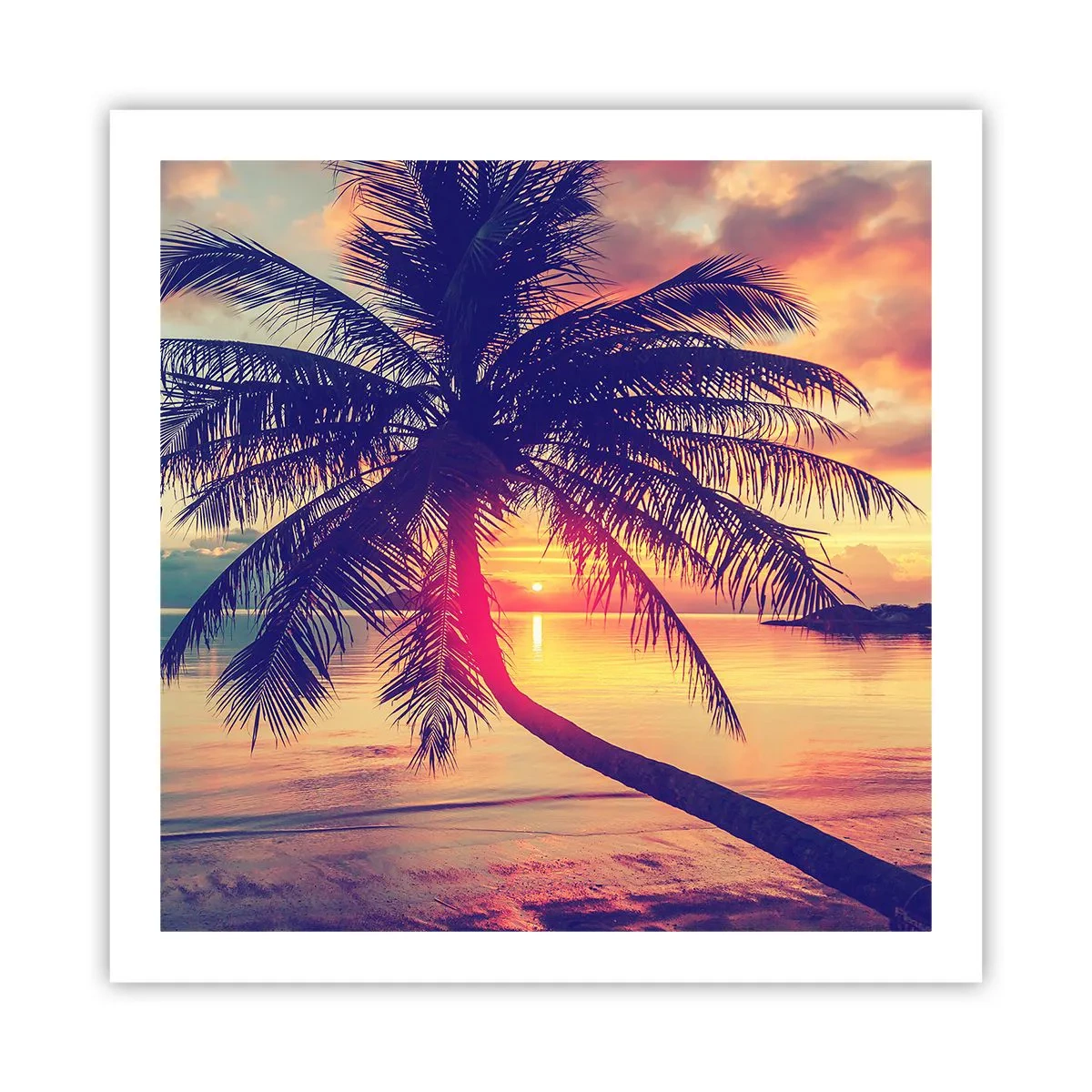 Poster - Evening under the Palm Trees - 60x60 cm