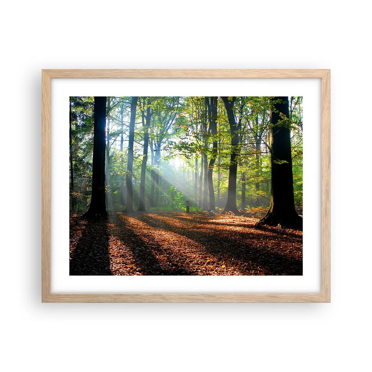 Poster in light oak frame - Highs And Lows - 50x40 cm