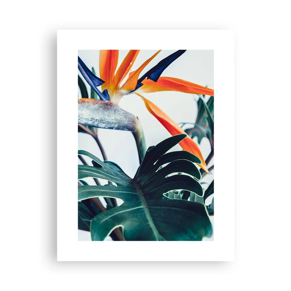 Poster - Birdy Bush - 30x40 cm