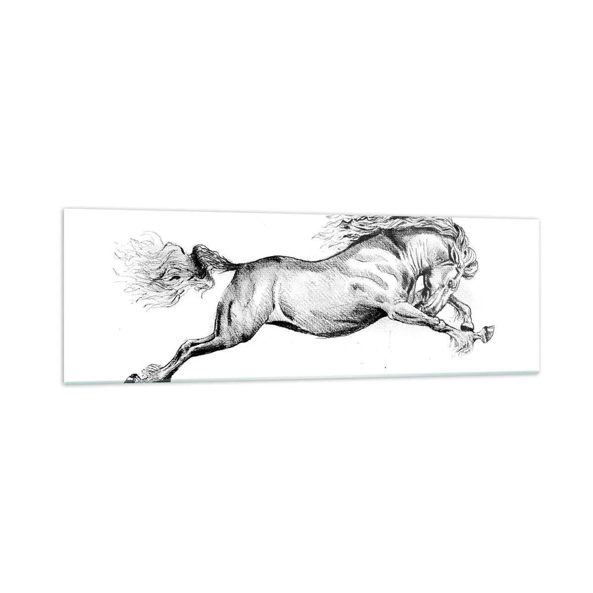 Glass picture - Stopped at a Gallop - 160x50 cm