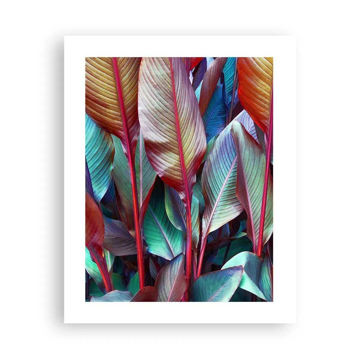Poster - Colourful Thicket - 40x50 cm