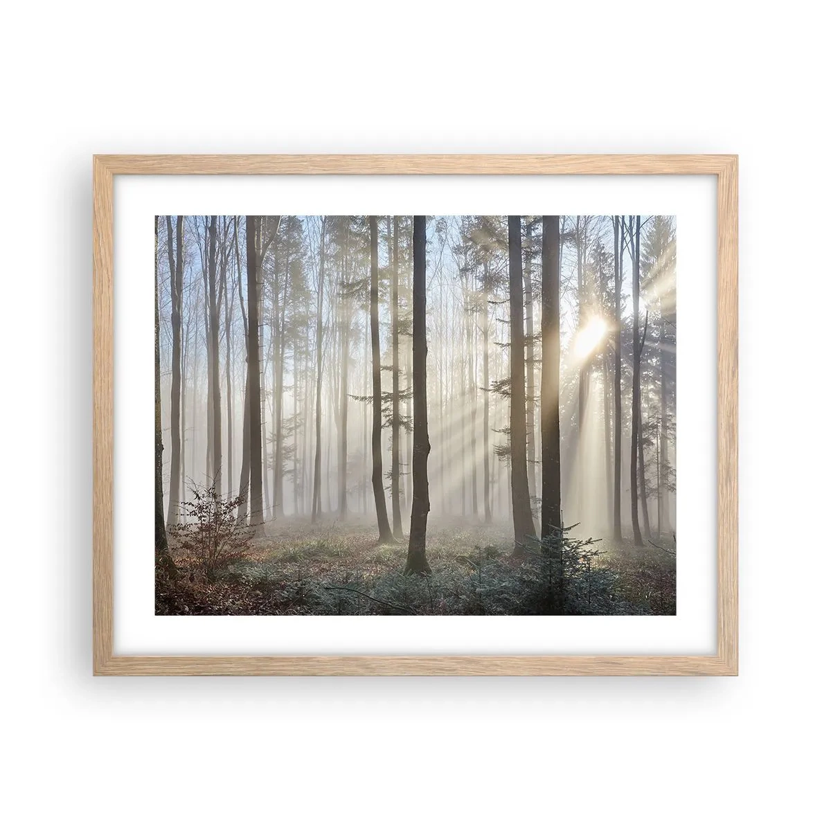 Poster in light oak frame - Fog Has Woken up Too - 50x40 cm