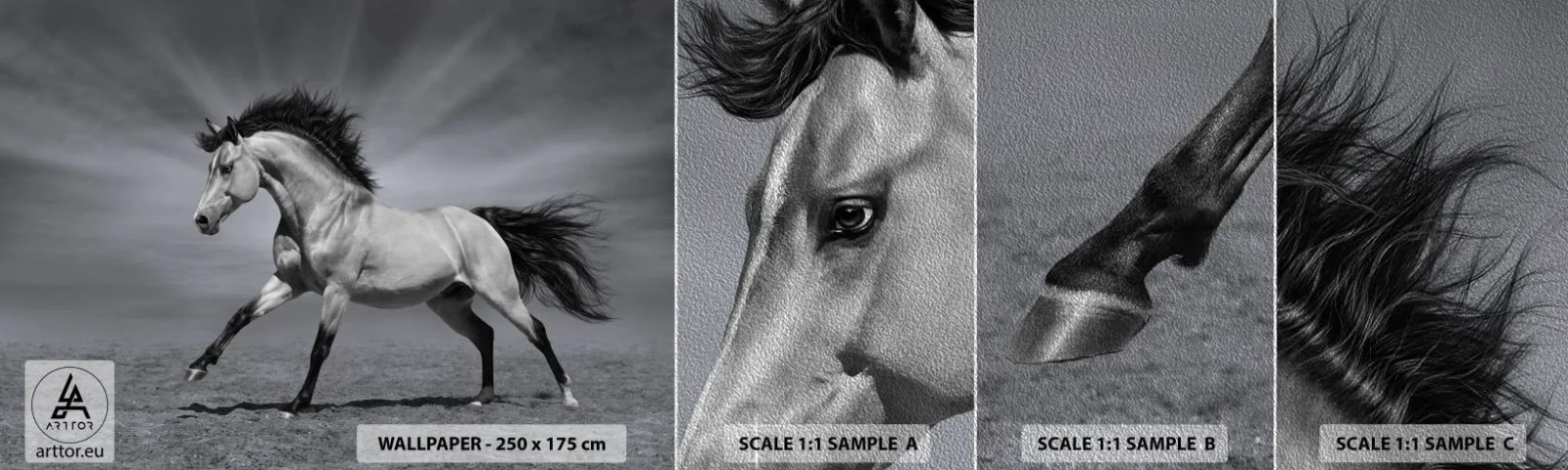 Photo Wallpaper Sample Premium Sand - Born to Amaze - Animals, Horse, Nature - 100x30 cm