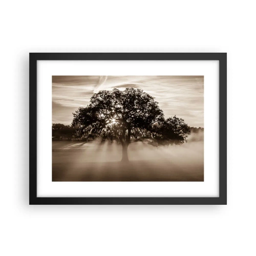 Poster in black frame - Tree of Good Knowledge - 40x30 cm