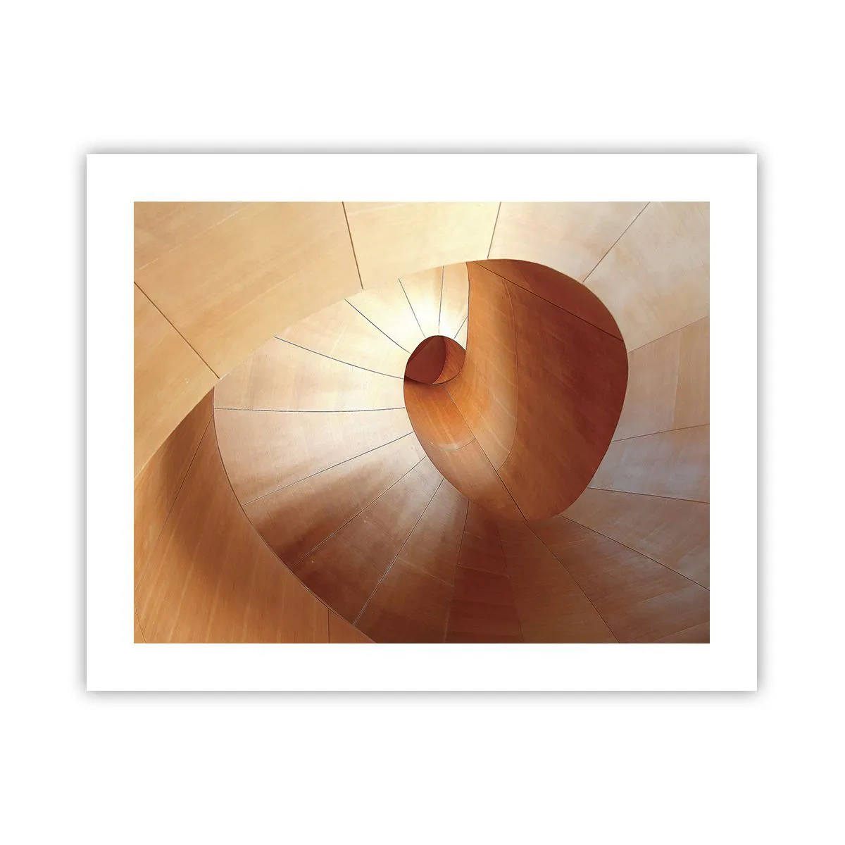 Poster - Architectural Serpentine - 50x40 cm