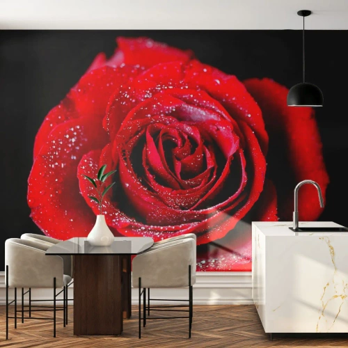 Photo Wallpaper Premium Sand - This Is Love - Flowers, Red Rose, Rose petals - 100x70 cm