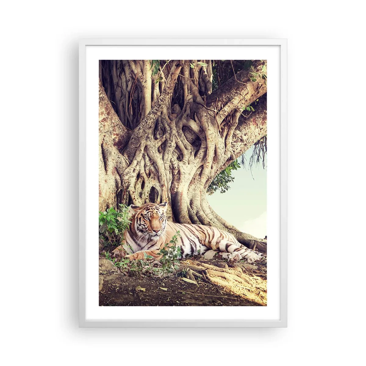 Poster in white frmae - View from the Genesis - 50x70 cm