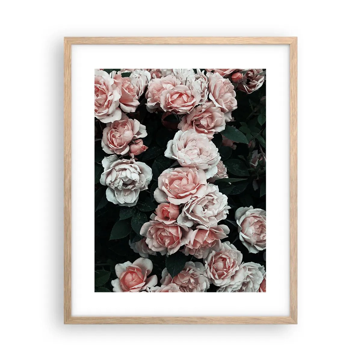 Poster in light oak frame - Rose Ensemble - 40x50 cm