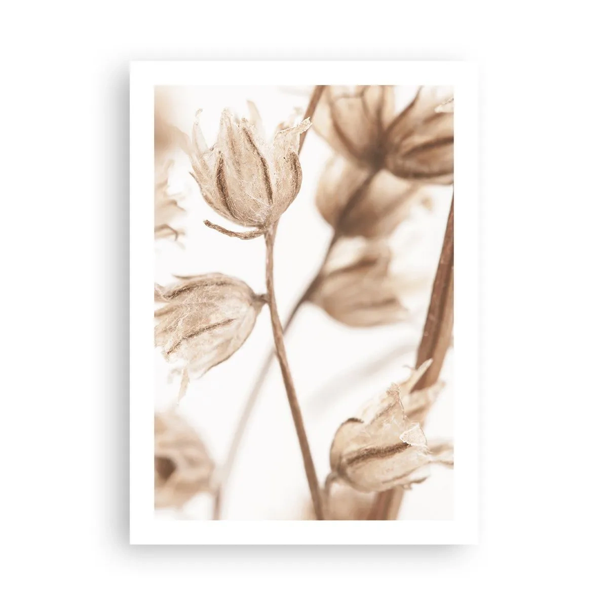 Poster - Ringing at the End of Summer - 50x70 cm