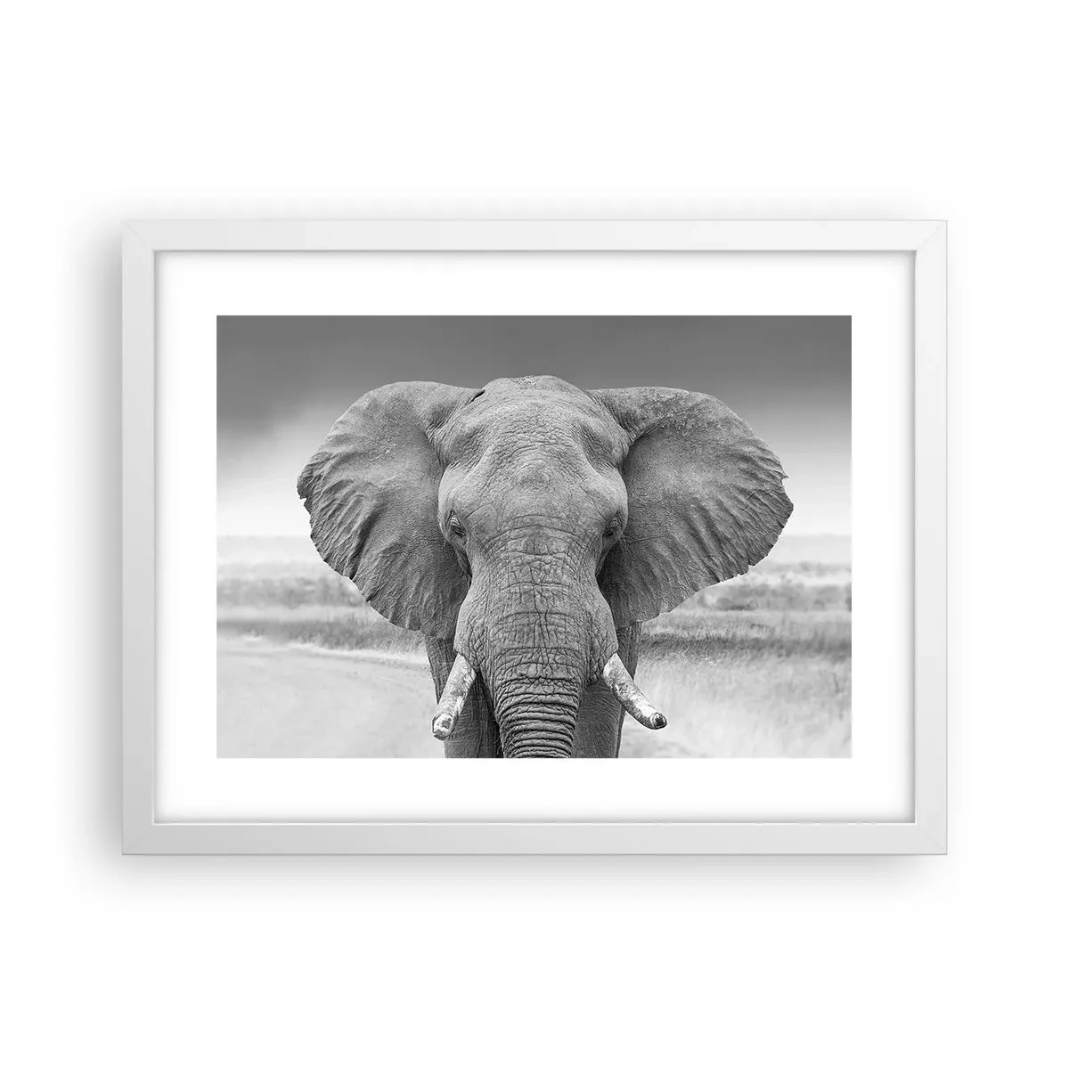 Poster in white frmae - Welcome to My World - 40x30 cm