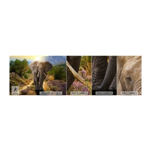 Photo Wallpaper Sample Standard Eco - This is What Eden Looked Like - Animals, Elephant, Safari - 100x30 cm