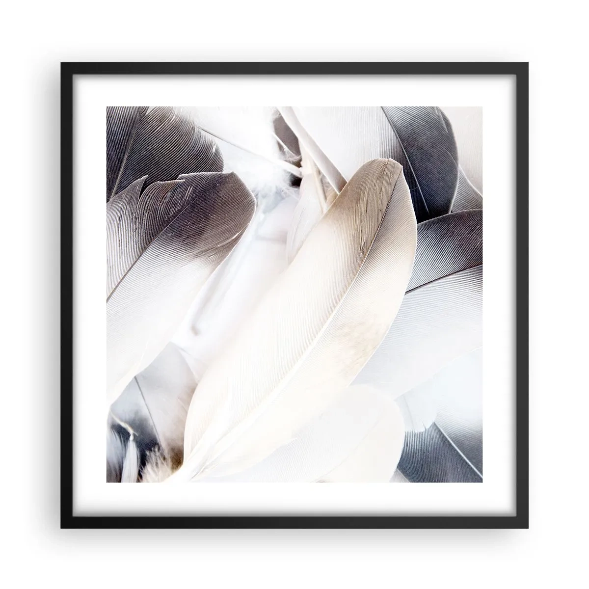 Poster in black frame - Almost Angelic - 50x50 cm
