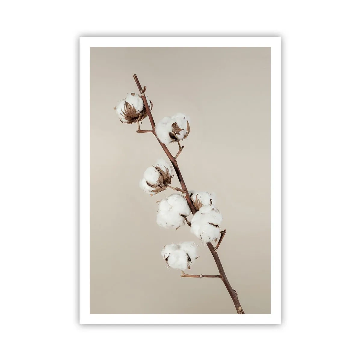 Poster - At the Heart of Softness - 70x100 cm