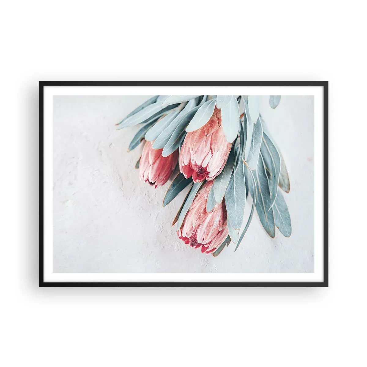 Poster in black frame - Ashamed of Their Own Beauty - 100x70 cm